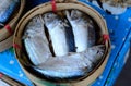 Steamed Mackerels