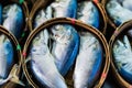 Steamed mackerels market