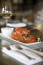 Steamed Maine Lobster Royalty Free Stock Photo