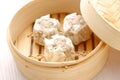 Steamed meat dumpling Royalty Free Stock Photo