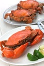 Steamed mud crab, male and female Royalty Free Stock Photo