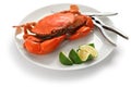 Steamed mud crab, male Royalty Free Stock Photo