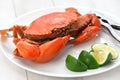 Steamed mud crab, male Royalty Free Stock Photo