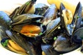 Steamed Mussels Royalty Free Stock Photo