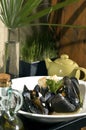 Steamed mussels Royalty Free Stock Photo