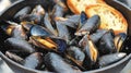 Steamed Mussels With Crusty Bread Slices Royalty Free Stock Photo
