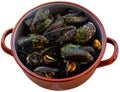 Steamed mussels with garlic butter sauce in clay pan Royalty Free Stock Photo