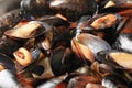 Steamed mussels