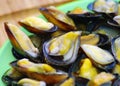 Steamed mussels on the plate Royalty Free Stock Photo