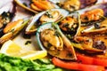 Steamed mussels on a plate Royalty Free Stock Photo