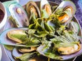 Steamed New Zealand mussels with thai herb in the seafood restaurant. New Zealand green-lipped mussel (Perna canaliculus), also kn Royalty Free Stock Photo