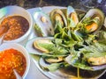 Steamed New Zealand mussels with thai herb in the seafood restaurant. New Zealand green-lipped mussel (Perna canaliculus), also kn Royalty Free Stock Photo