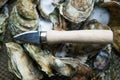 Oyster Knife Close Up