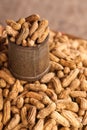 Steamed peanuts in a can.