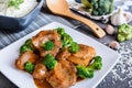 Steamed pork with balsamic vinegar and roasted broccoli and rice Royalty Free Stock Photo