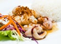 Steamed rice with fried squid with garlic and pepp Royalty Free Stock Photo