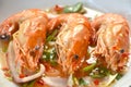 steamed river shrimp dressing Thai spicy and sour sauce salad on plate Royalty Free Stock Photo