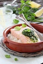 Steamed salmon with pesto and rice garnish Royalty Free Stock Photo