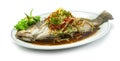 Steamed Sea bass Snapper Fish with Soy Sauce Chinese food