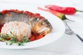 Steamed sea bass in tomato sauce with chili pepper. Royalty Free Stock Photo
