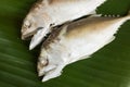 Steamed short-bodied mackerel on banana leaf.