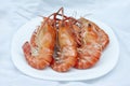 Steamed shrimp in white plate. Royalty Free Stock Photo