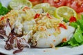 Steamed squid stuffed minced pork dressing spicy lemon sauce on dish Royalty Free Stock Photo