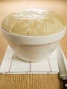 Steamed Suet Pudding in a Pudding Basin Royalty Free Stock Photo