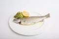 Steamed trout fish Royalty Free Stock Photo