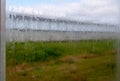 Steamed windows of a flower nursery Royalty Free Stock Photo