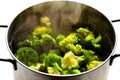 Vegan food : steaming broccoli in an inox pot Royalty Free Stock Photo