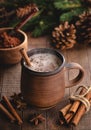 Cup of Hot Chocolate With Cinnamon Stick Royalty Free Stock Photo