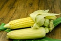 Steaming fresh corn on wooden table Royalty Free Stock Photo