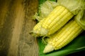 Steaming fresh corn on wooden table Royalty Free Stock Photo