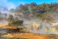 Steaming geothermal pool at Orakei Korako, New Zealand Royalty Free Stock Photo