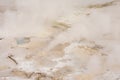 Steaming Geyser Basin Detail Yellowstone National Park