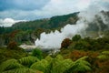 Steaming geyser at Te Puia geothermal park, Rotorua, New Zealand Royalty Free Stock Photo