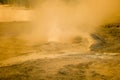 Steaming geyser vent in infrared in Upper Geyser Basin, Yellowstone Natioanl Park