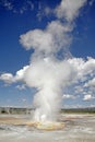 A steaming geyser in yellowstone