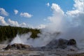 Steaming Geyser in Yellowstone Royalty Free Stock Photo