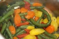 Steaming Hot Vegetables Mix