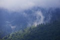 Steaming forest in the mountains after heavy rain