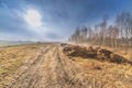 Steaming manure heap.