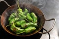 Steaming peppers de padron or green pimientos in a hot frying pan on the stove for a Spanish tapa or appetizer meal, copy space,