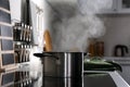 Steaming pot on electric stove in kitchen Royalty Free Stock Photo