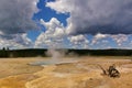 Steaming thermal pool in Yellowstone National Park, USA with dead bush in the foreground Royalty Free Stock Photo