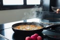 Vegetable stew in a pan at the modern kitchen