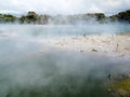 Steaming volcanic hot spring in Rotorua, N Zealand