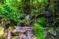 Steaming water of rocks in a jungle scenery with many plants, nature background