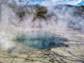 Steaming waters of a geothermal spring in New Zealand